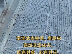-武当山风景区