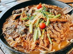 -老板恋上鱼(恒隆广场店)