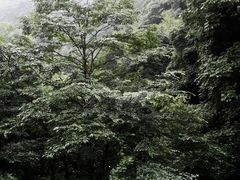 -溪口-滕头旅游景区