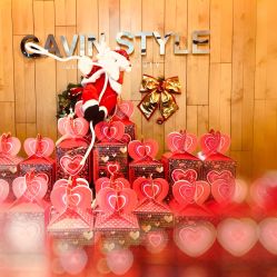 -崇尚GAVIN STYLE臻选