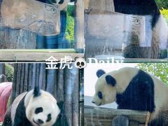-大连森林动物园
