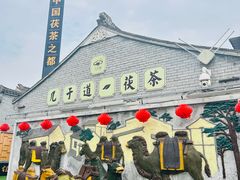 -茯茶镇
