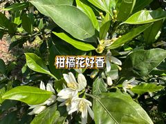 -雨花胜境