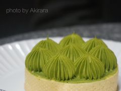 抹茶挞-猫里有甜