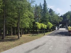 -梁鸿国家湿地公园