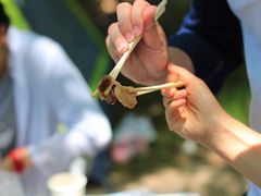 -东钱湖阳光沙滩