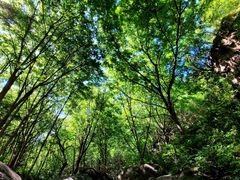 -云岫谷游猎自然风景区