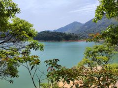 -广州市流溪河国家森林公园