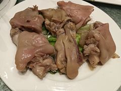 -丁老爷子苏香圆