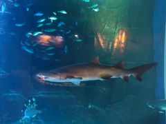 -成都浩海立方海洋公园