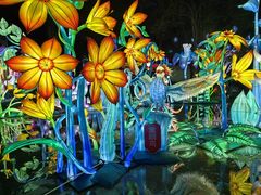 -海合安武汉极地海洋公园