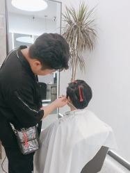 -YESIDO椰岛造型