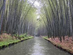 -同里国家湿地公园