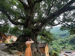 -杨家堂村