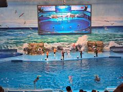 -多彩贵州城极地海洋世界