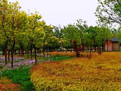 -武清南湖绿博园