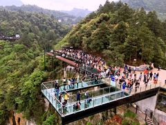 -梦幻奥陶纪景区