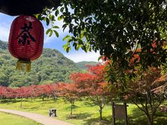 -五泄景区