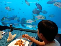 -瑞德姆美人鱼海底演艺主题餐厅(亚龙湾店)