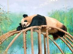 -杭州动物园