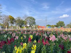 -广东花都香草世界旅游度假区
