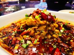 -鑫巴蜀小镇 · 水煮鱼专研店(玉桥店)