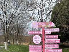 -凤凰沟景区