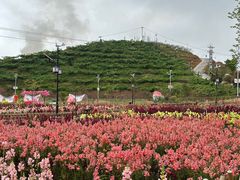 -翠屏湖景区