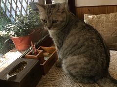 -隅cafe(傅厚岗店)