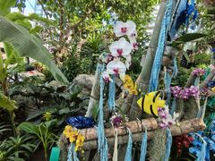 -北京植物园-展览温室