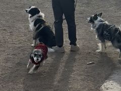 -小意思咖啡店(草桥店)