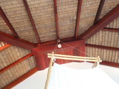 IMG_39541-三亚亚龙湾人间天堂鸟巢度假村