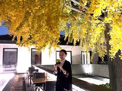 -自如ZSPACE四合院艺术餐厅