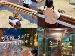 -顺德南宏海立方海洋公园