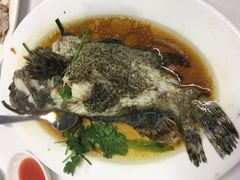 -新陶陶酒家