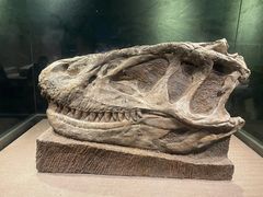 -自贡恐龙博物馆