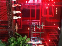 -东方明珠老上海8号餐厅