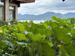 -西湖游船