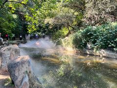 -北京西山国家森林公园