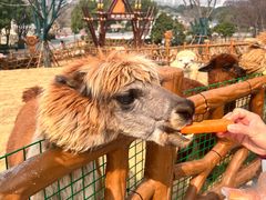 -无锡动物园·太湖欢乐园