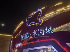 -鹏欣水游城