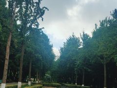 -苏州河梦清园环保主题公园