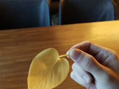 -北京小肠陈饭庄(方庄店)