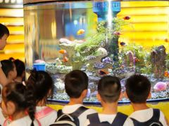 -金豆子幼稚园