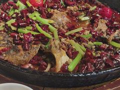 -老板恋上鱼(高新万达店)