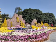 -南山植物园