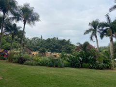 -深圳仙湖植物园