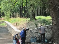 -阳台山自然风景区