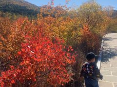 -建平天秀山森林公园