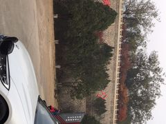 -北京十三陵国家森林公园蟒山景区